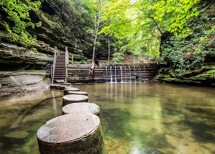 Grand Bear At Starved Rock 4* Utica