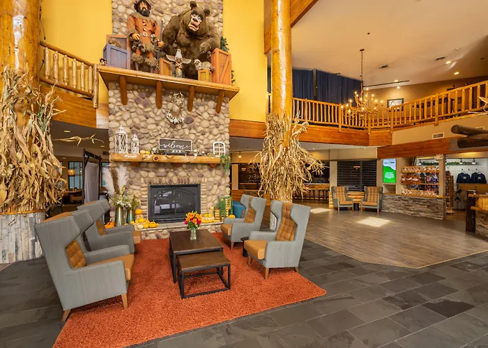 Grand Bear At Starved Rock Resort Utica