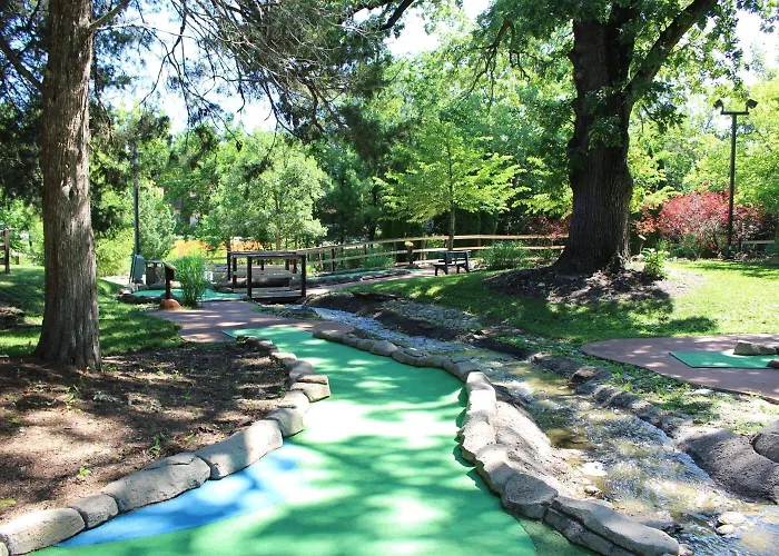 Grand Bear At Starved Rock Resort
