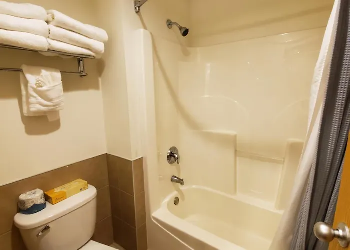Resort Grand Bear At Starved Rock 4*