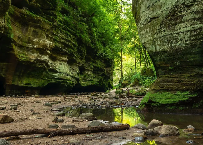 Resort Grand Bear At Starved Rock