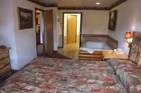 Grand Bear At Starved Rock 4* Utica